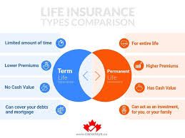 How Much Does Life Insurance Cost In Canada? (Average Rates)