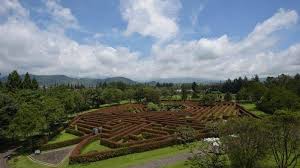 Sekianlah informasi yang terkait dari kami untuk kalian mengenai harga tiket masuk taman bunga nusantara. Tempat Wisata Dekat Jakarta Cocok Untuk Liburan Inilah Harga Tiket Masuk Taman Bunga Nusantara Tribun Kaltim