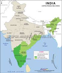 Tea plantations in munnar are situated on undulating terrain, which appears as a thick carpet of green colour. Coffee Production In India Coffee Production Map