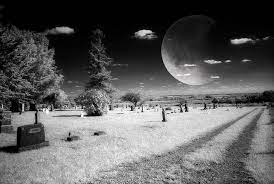 Double Exposure On Kodak 35mm Ir Film Rm 90 Filter Kodak Photo Photo Art