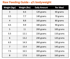 How Much Raw Food To Feed A Cat Check Our Cat Feeding