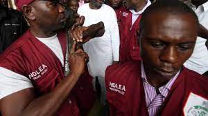 Ndlea recruitment 2021/2022 application www.ndlea.gov.ng/career. Ndlea Seeks Government Partnership For Drug Free Society The Guardian Nigeria News Nigeria And World Newsnigeria The Guardian Nigeria News Nigeria And World News