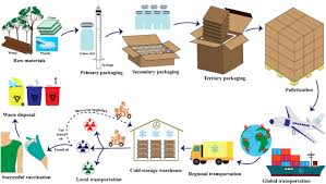 Who granted the pfizer biontech vaccine eul on 31 december 2020. Advanced Packaging For Distribution And Storage Of Covid 19 Vaccines A Review Springerlink