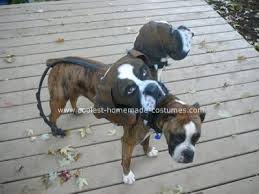 Coolest Homemade Cerberus Costume Puppy Halloween Costumes Pet Halloween Costumes Dog Costumes