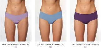 The contour in the fabric of a lower garment (e.g. Miracle Underwear Promises To End Camel Toe Forever