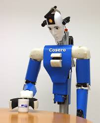 Project: NimbRo - Learning Humanoid Robots