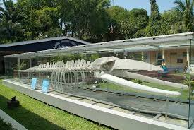 Avia.lt will find best options with low fares. Cheap Flights To Port Blair India Ixz 7 494 Tripadvisor