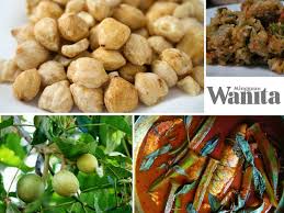 Ia juga digunakan dalam masakan orang melayu dan hampir di keseluruhan kepulauan nusantara. Kuah Masakan Lebih Pekat Dan Sedap Dengan Buah Keras Ini Rahsia Lainnya Mingguan Wanita