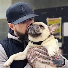 Drewshallis | bulldog tattoo, french bulldog tattoo. Chambers On Twitter The 21 Coolest French Bulldog Tattoo Designs In The World Http T Co Ppnm8vowbx We Made It Vvmodernclassic