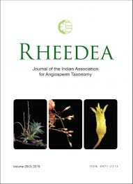 Image result for Ipomoea fulvicaulis