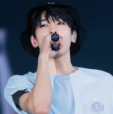 Kpop Idols Have The Same Birthday As You Seventeen Kpop Idol Idol