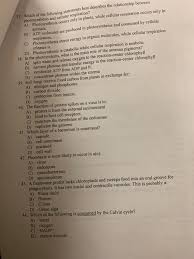 Do plant seeds consume more oxygen at higher temperatures than at lower temperatures? Tements Best Describes The Relationship Between 37 Chegg Com