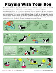 Playing With Your Dog An Illustrated Guide Dog Training Dog Games Dog Poster
