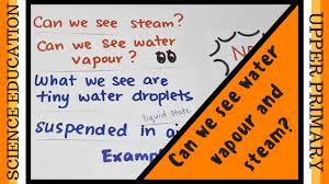 What Is The Difference Between Water Vapour And Steam Science Upper Block Cycles Water Cycle Youtube