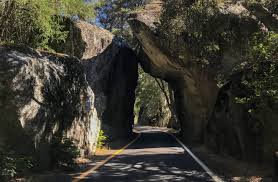 Maybe you would like to learn more about one of these? Yosemite Trip Planner The Ultimate Guide To Yosemite National Park