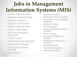 Management Information System Mis Developer Jobs Skills In Pakistan Management Information Systems Business Systems Technology Careers