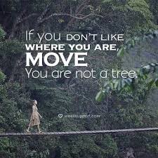 Pin By No Barriers Women On Quotes Inspiration Quotes To Live By Quotes By Famous People Me Quotes