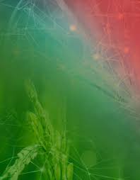 XXXIII National Meeting of Biochemistry