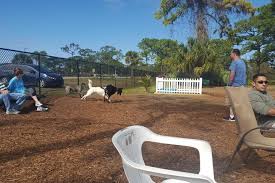 All natural ingredients to keep your dog happy, healthy and strong. Dog Friendly Activities In Melbourne Fl Bringfido
