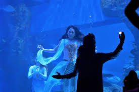 Check spelling or type a new query. Baksos Ke Jakarta Aquarium Bersama Saung Baca Garpu Backpacker Jakarta