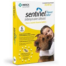 Maybe you would like to learn more about one of these? Beach Pet Store Home Delivery