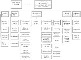 Patient Chart Template Templates Medical Post Paper Blank