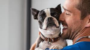 Veterinarian In Mountlake Terrace, WA