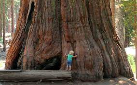 Maybe you would like to learn more about one of these? The Big Picture 10 Of The Largest Things In The World The Shutterstock Blog