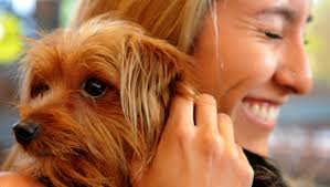 Gallery: Stress-busters during college finals