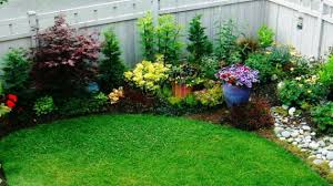 Akan tetapi, banyak yang khawatir tanaman tersebut akan layu dan mati karena cuaca yang panas. Tanaman Hias Flora Untuk Taman Rumah Depo Bagoes Bangunan