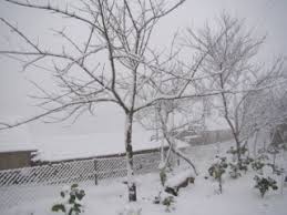 Tempestades de neve em várias regiões espanholas causaram pelo menos três mortos e bloquearam motoristas nas estradas. Neve Caiu Em Portalegre E Evora Mas Nem Se Viu Em Sintra Meteorologia Publico