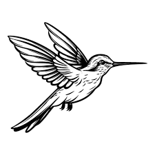 Beija Flor Vetores, Ícones e Planos de Fundo para Baixar Grátis