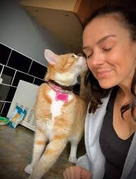 🍁 ☔️ 💨 Hi, I'm Emily your local...