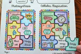 Photosynthesis Vs Cellular Respiration Cuaderno Interactivo Biologia Aula De Ciencias