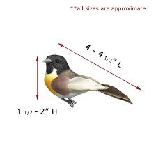 Amazon.com: Songbird Clip-On Ornaments - Set of 32 - Assorted Birds with  Flocked Bodies - Feathered Wings & Tail - Cardinal - Bluebird - Robin -  Goldfinch - Each is 4 L : Home & Kitchen