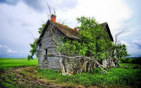 We've gathered more than 5 million images uploaded by our users and sorted them by the most popular ones. Hd Wallpaper An Old House Abandoned Nature And Landscapes Wallpaper Flare