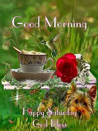 Check spelling or type a new query. Good Morning Happy Saturday God Bless Good Morning Happy Saturday Good Morning Happy Good Morning Wishes Friends