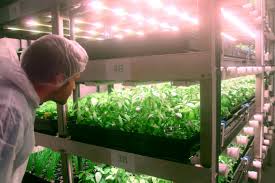 Cinq ans qu'il quitte son cabinet de pont audemer dans l'eure pour arpenter les allées du salon soit près de. La Ferme Du Futur S Invente En Picardie