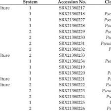 Christopher CONCHA PUJADO