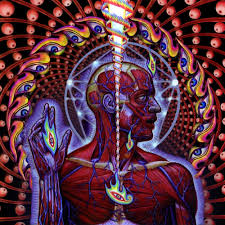 Image result for tool album cover