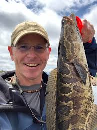 First double digit snakehead of the year