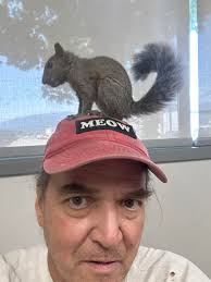 Apparently I put the Santa hat