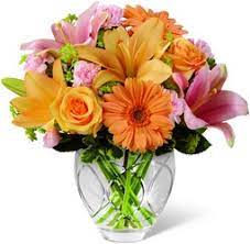 Rome is home to various excellent community institutions such as highly recognized hospitals and schools. Olney S Flowers Of Rome Ny Rome New York Flower Shop