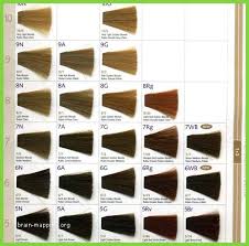 Keune Hair Color Chart Pdf Www Bedowntowndaytona Com