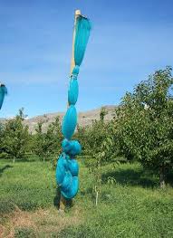 Fruit tree pests & diseases. Fruit Tree Netting Smart Net Systems Industrial Netting Systems