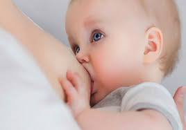 bottega veneta ceo online