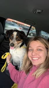 Babysitting and Animal Care Services Available in Stillwater