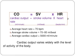 These would be heart rate and stroke volume cardiac output (ml/min) = stroke volume (ml/cycle) x heart rate (bpm) by being able to calculate a patient's cardiac output you can quantitively assess. What Is The Equation For Calculating Cardiac Output