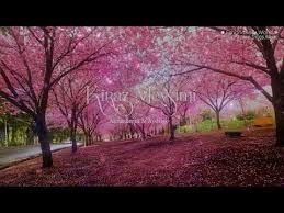 Lyrics Engsub Vietsub Kiraz Mevsimi Slow Volkan Akmehmet Aydilge Cherry Season Ost Youtube