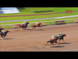 Las Carreras En El Hipodromo De Las Americas Youtube